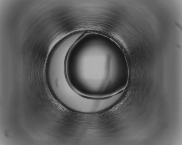 X0000091200928200708231527