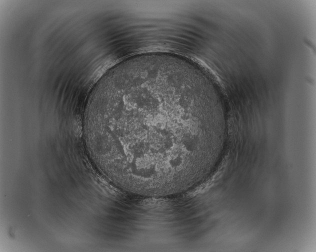 X0000091200929200708231527