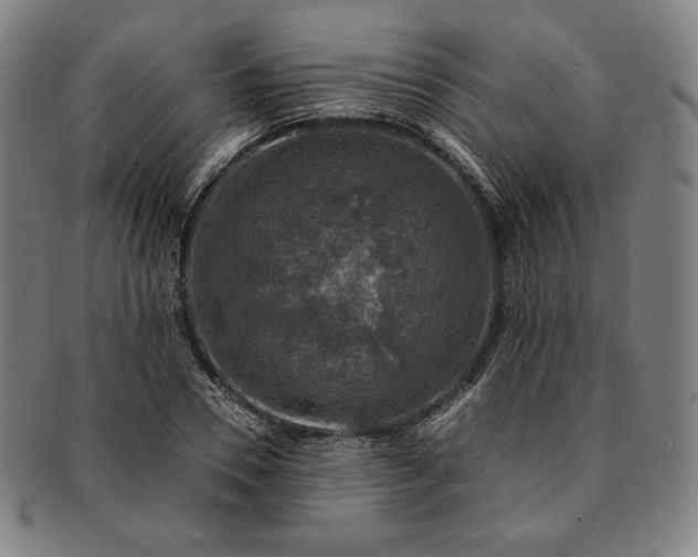 X0000091200930200708231527