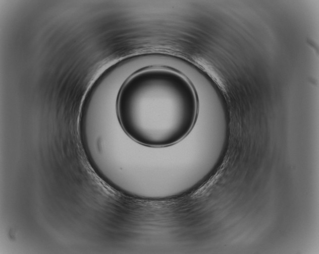 X0000091200932200708231527