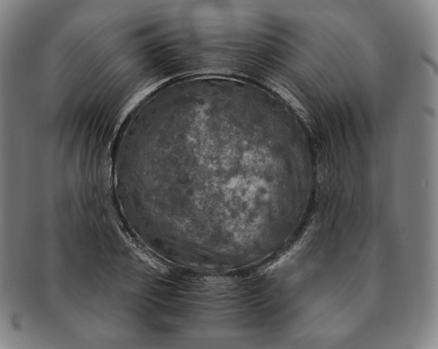 X0000091200933200708231527