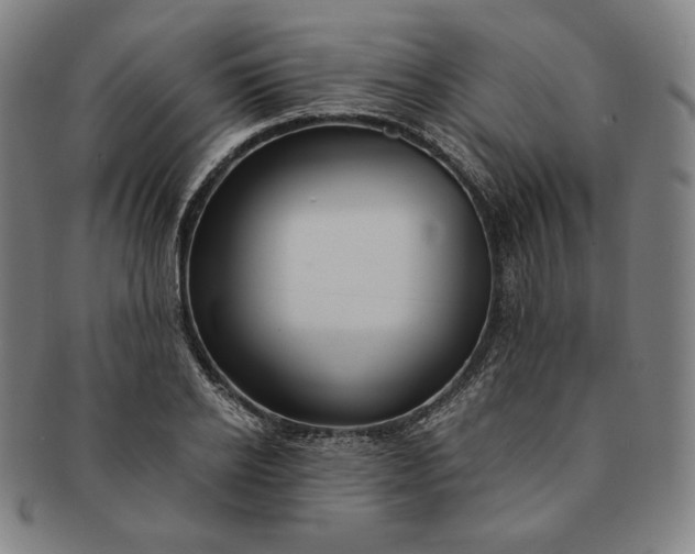 X0000091200934200708231527