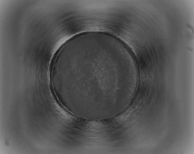 X0000091200935200708231527
