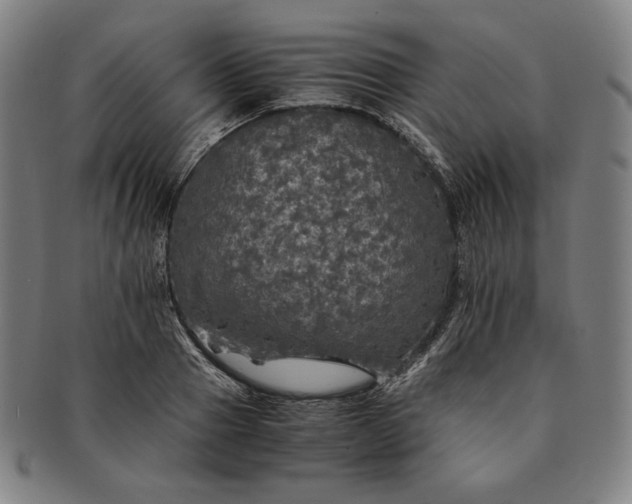 X0000091200937200708231527