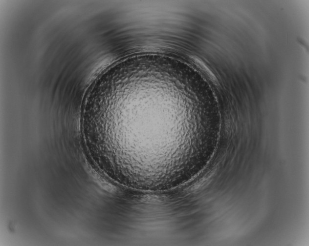 X0000091200938200708231527