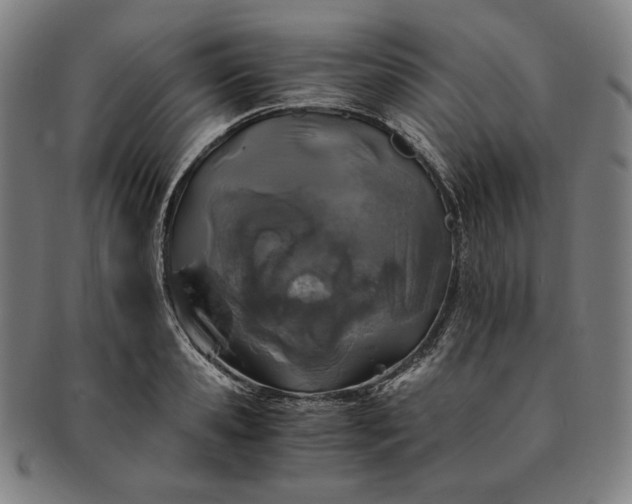X0000091200941200708231527