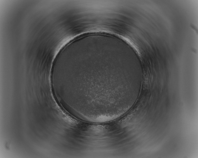 X0000091200943200708231527