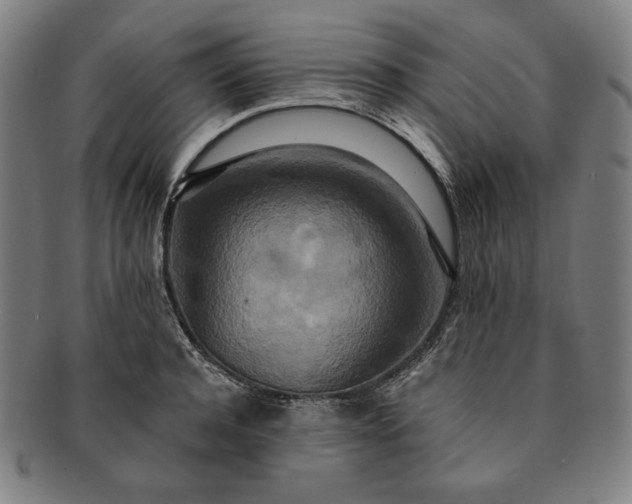 X0000091200944200708231527