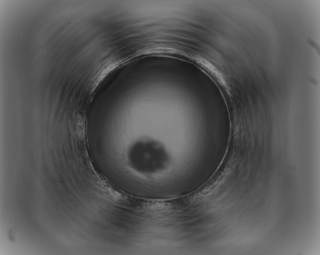 X0000091200945200708231527