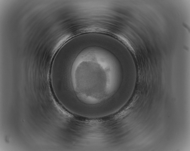 X0000091200946200708231527