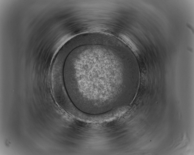 X0000091200948200708231527