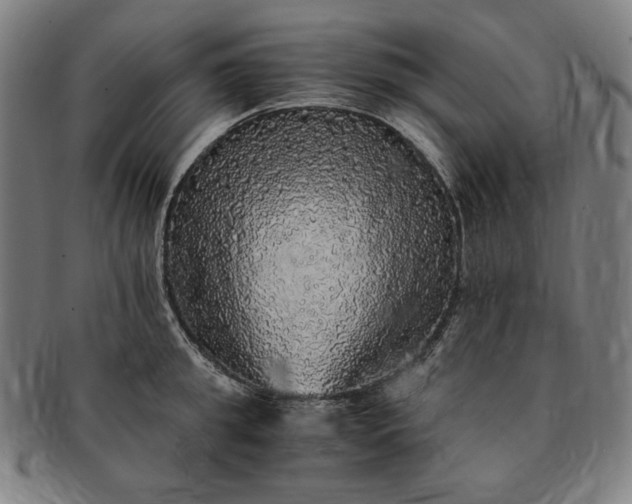 X0000091200949200708231528