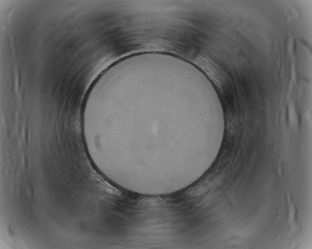 X0000091200950200708231528