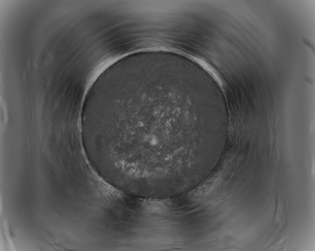 X0000091200951200708231528