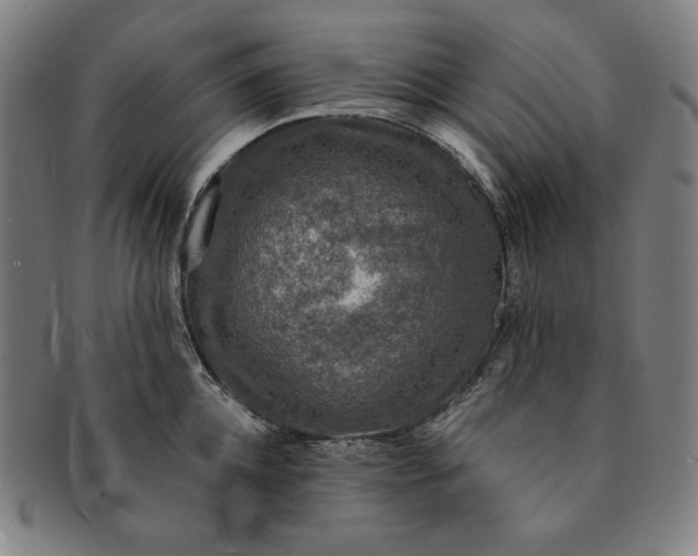 X0000091200952200708231528