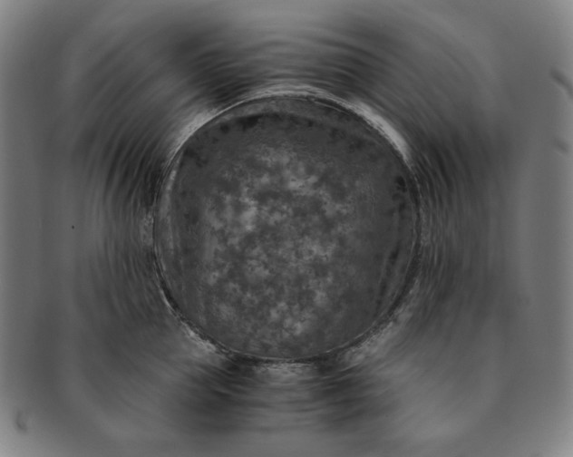 X0000091200953200708231528