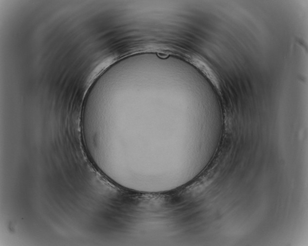 X0000091200954200708231528