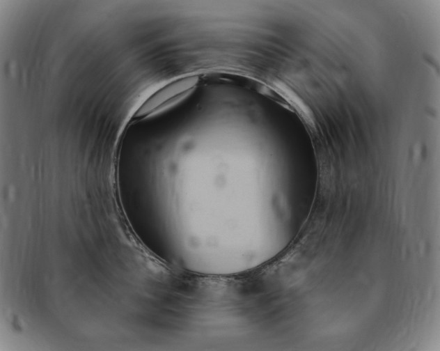 X0000091200956200708231528
