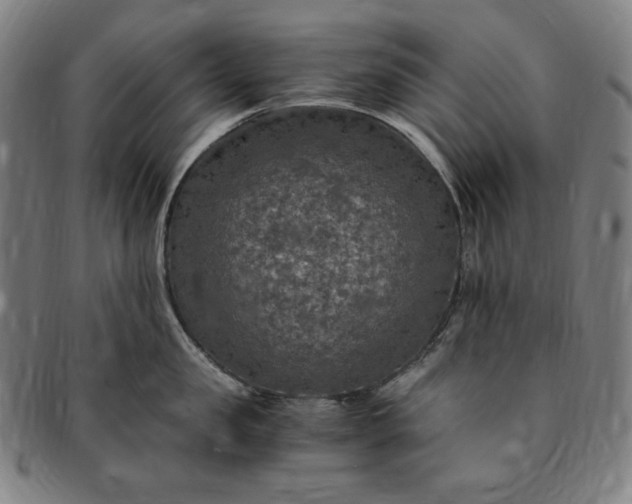 X0000091200957200708231528