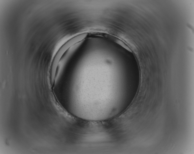 X0000091200960200708231528