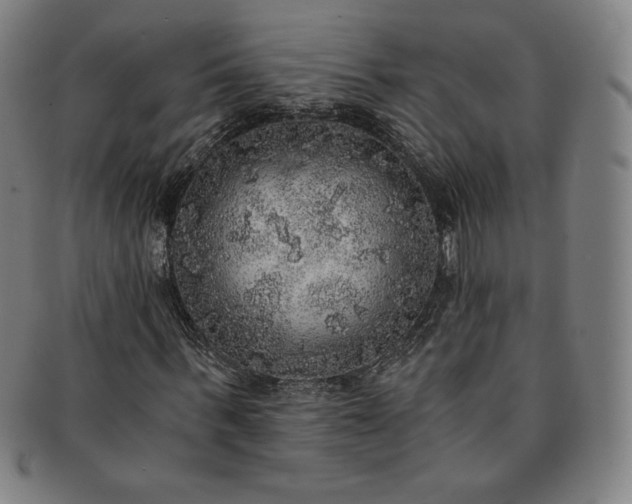 X0000091200963200708231527