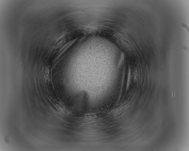 X0000091200964200708231527