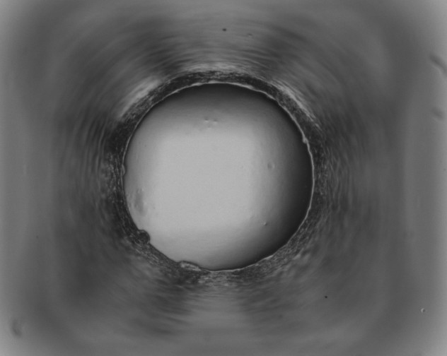 X0000091200967200708231527