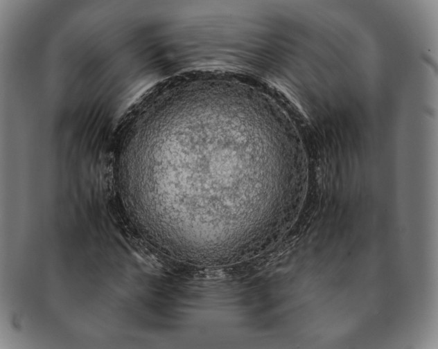 X0000091200968200708231527