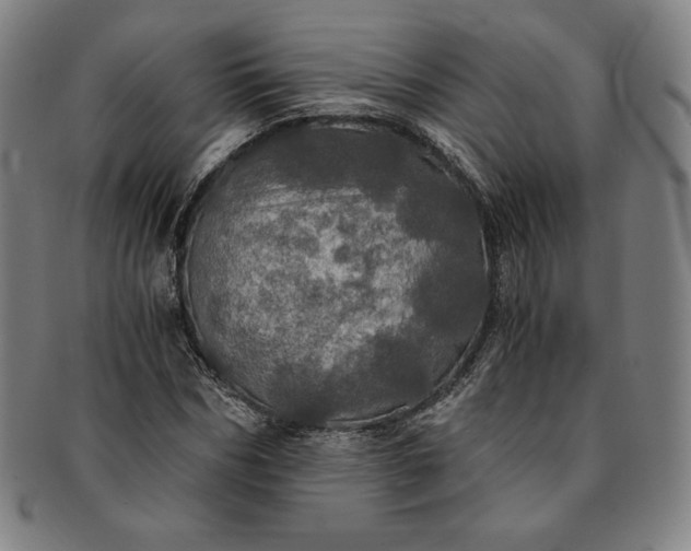 X0000091200970200708231527