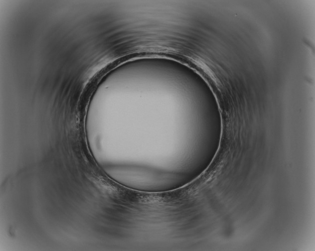 X0000091200971200708231527