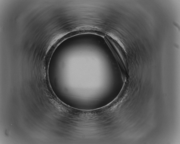 X0000091200973200708231527
