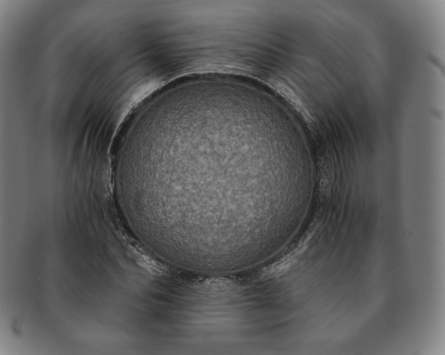 X0000091200974200708231527