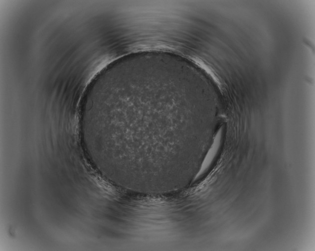 X0000091200975200708231527