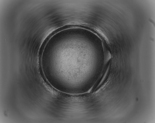 X0000091200976200708231527