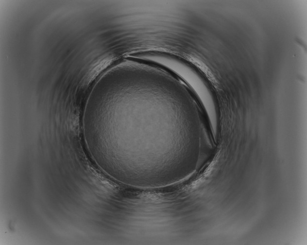 X0000091200977200708231527