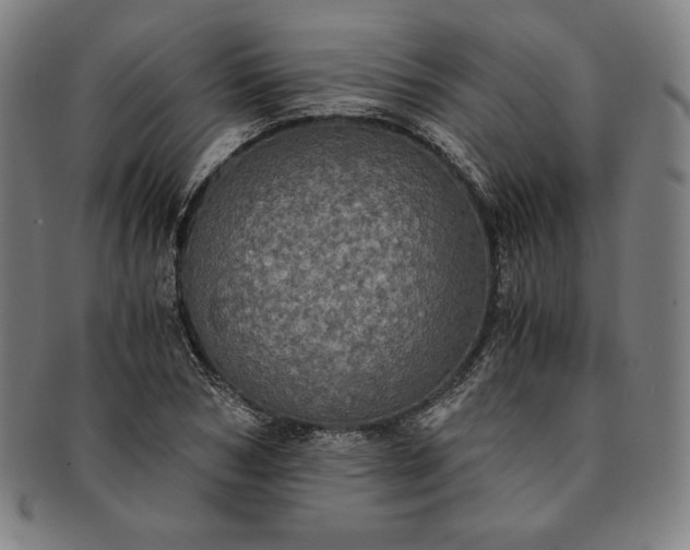 X0000091200978200708231527