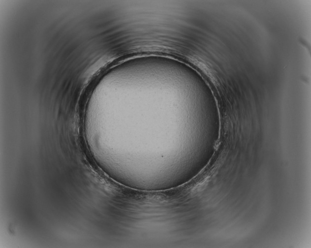 X0000091200979200708231527