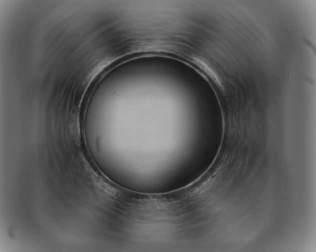 X0000091200980200708231527