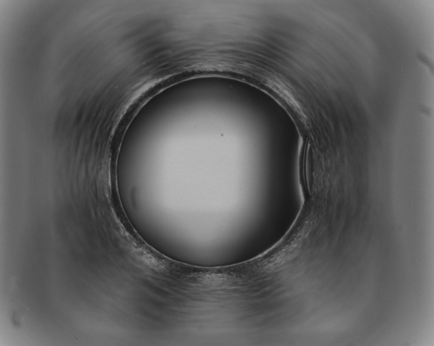 X0000091200984200708231527