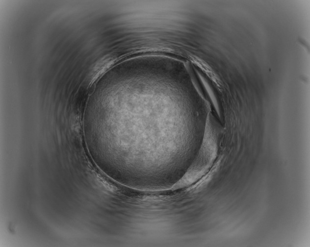 X0000091200985200708231527