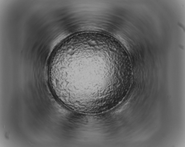 X0000091200987200708231526