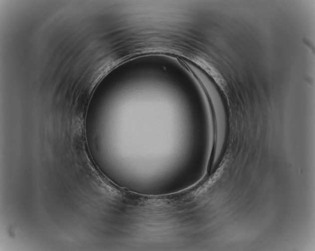 X0000091200993200708231526