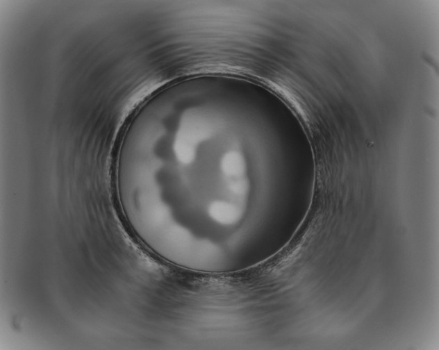X0000091200995200708231526