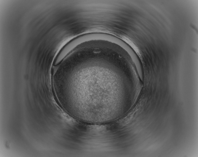 X0000091200996200708231526