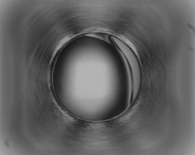X0000091200997200708231526