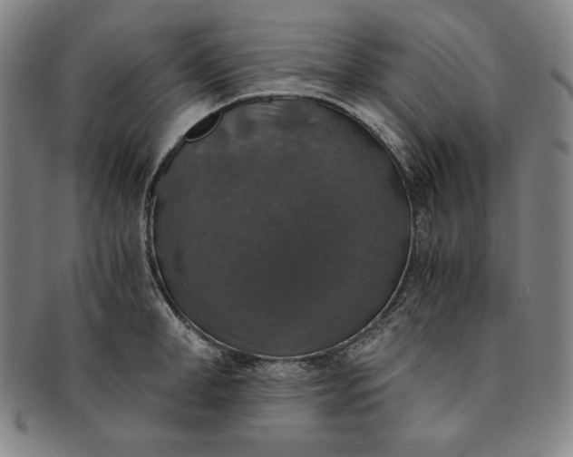 X0000091200998200708231526