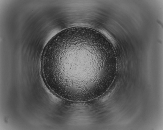 X0000091200999200708231526