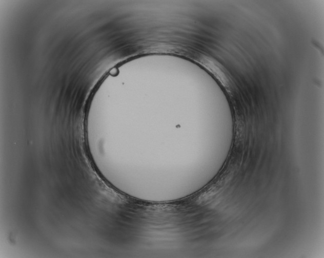 X0000091201000200708231526