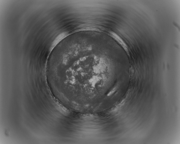 X0000091201002200708231526
