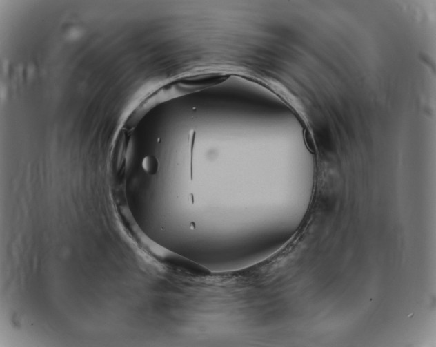 X0000091201005200708231526